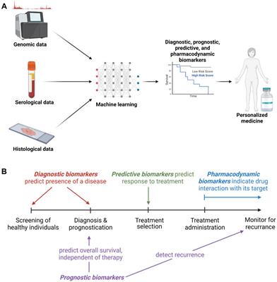 Frontiers | Integrating Molecular Biomarker Inputs Into Development And ...